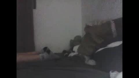 Orm93 online show from December 21, 11:38 am