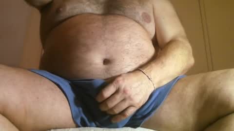 Oso Licencioso online show from November 17, 4:26 am