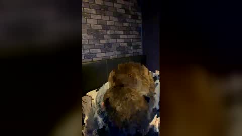 Owen kayz online show from March 13, 9:40 pm