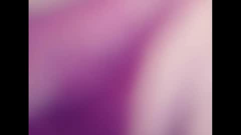   PALA online show from March 3, 8:16 am