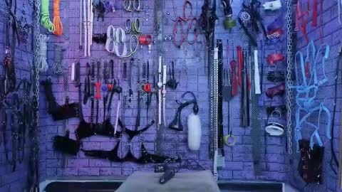 PandoraNez online show from October 4, 2:59 pm