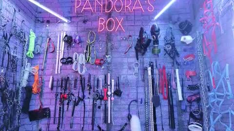 PandoraNez online show from December 15, 11:28 am