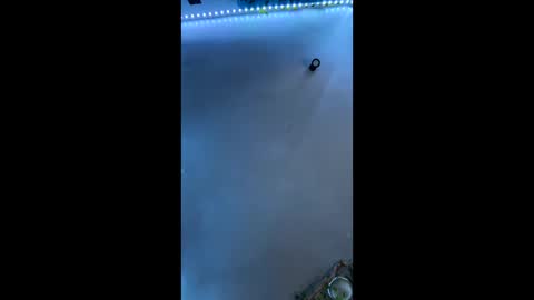 papian0 online show from October 16, 1:49 am