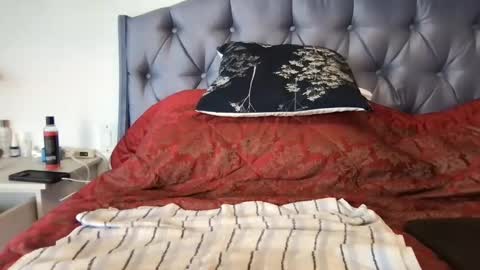 Paradise Bird01 online show from January 17, 7:49 pm