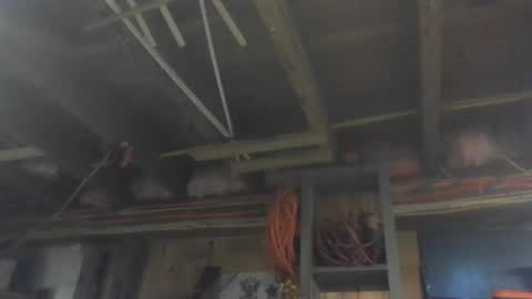 Snapshot of paulstetson chatting on December 26, 3:53 pm paulstetson online show from December 26, 3:53 pm