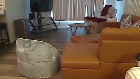 perfecto1957 online show from December 24, 3:58 pm