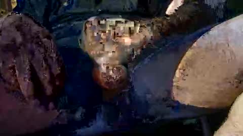 mynameisguyyy online show from November 2, 11:43 am