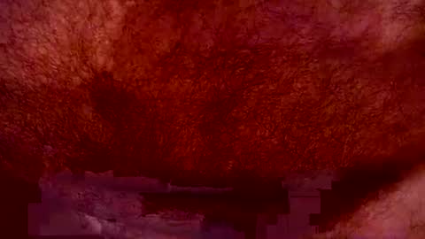 peterpeteropoulos online show from July 20, 7:04 pm