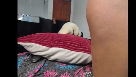 ebonyshawtypetit online show from November 10, 4:04 am