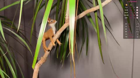 phill_maer online show from March 14, 5:06 pm