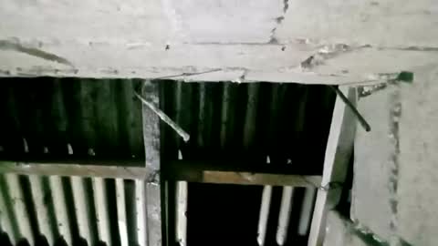 pinaybobs online show from January 7, 9:42 pm