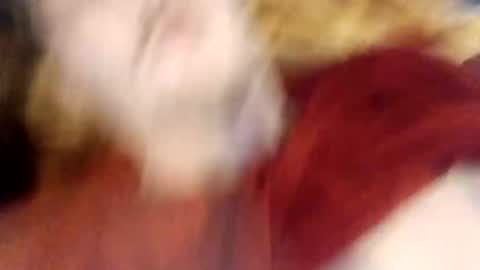 pinkytinky4 online show from December 16, 10:05 pm