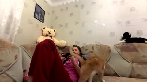 Incubus online show from March 13, 7:06 pm