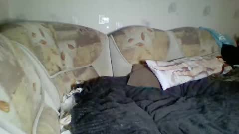 Incubus online show from January 3, 12:43 am