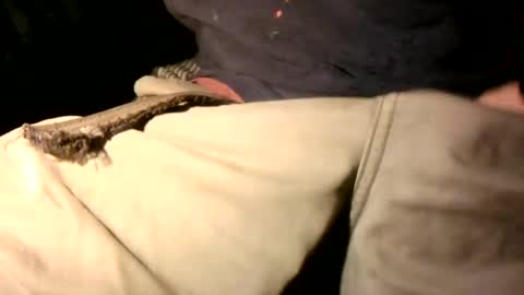 pisellonelargo online show from October 5, 10:12 am