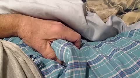 Snapshot of planoeasy chatting on December 6, 3:24 am planoeasy online show from December 6, 3:24 am