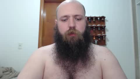 Bear online show from February 16, 2:09 am