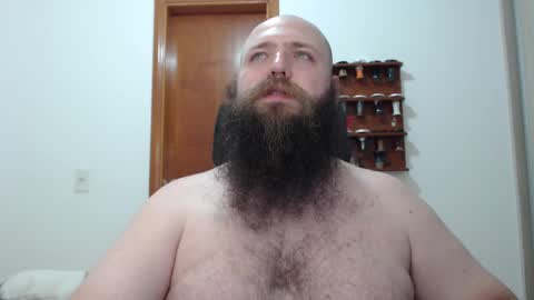 Bear online show from February 19, 2:33 am