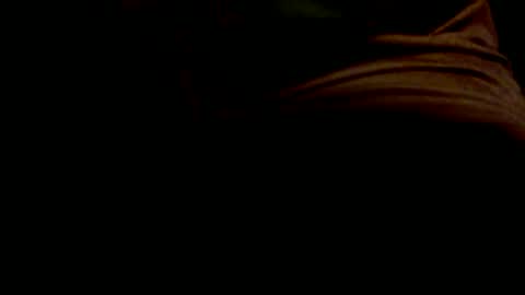 PolarBear49 online show from January 28, 12:32 pm