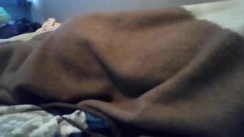 polishbigdick17 online show from October 29, 5:53 am