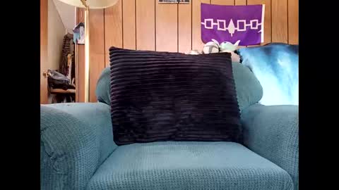 prettysolid7 online show from October 6, 3:08 pm