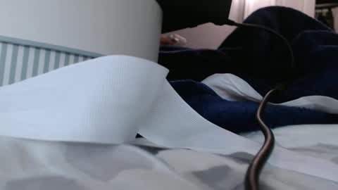 princessleenhu online show from April 21, 2:46 pm