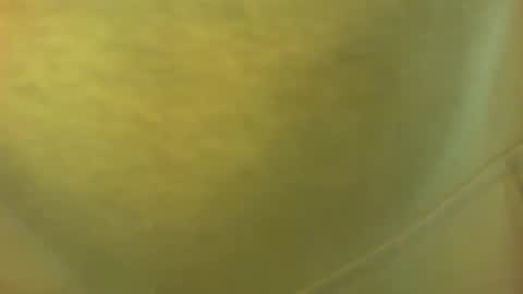 Snapshot of princetonbar55 chatting on February 7, 7:06 pm princetonbar55 online show from February 7, 7:06 pm