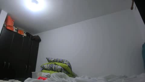 PriscilaSmiith online show from February 24, 4:27 am