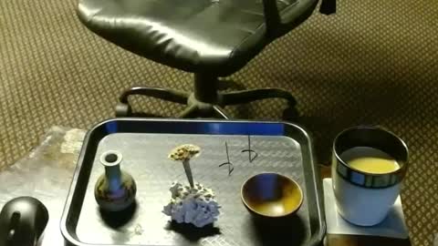 Jojo online show from October 11, 1:10 am