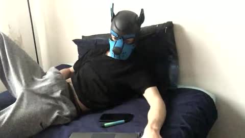 Toby online show from November 20, 2:14 pm