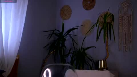 Emily online show from April 11, 6:40 am