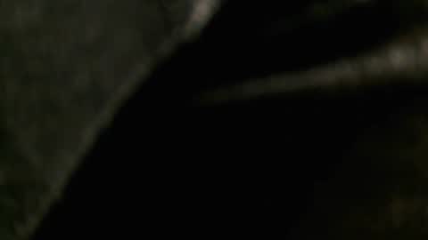 pussysurfer99 online show from February 15, 7:43 am