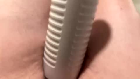 py299426 online show from March 20, 2:38 am