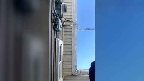 pyrex8 online show from February 10, 2:31 pm