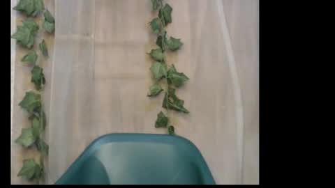 Zoey online show from February 16, 9:18 am