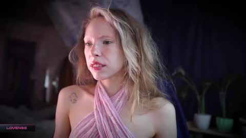 ada online show from November 7, 10:07 am