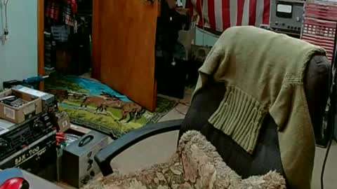 Randall online show from February 27, 7:58 pm