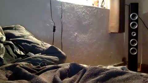 raporg2004 online show from February 12, 7:12 am