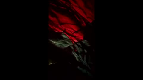 realdick1111 online show from May 31, 2:27 pm
