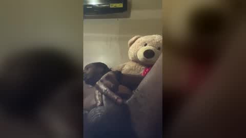 reallife1993 online show from February 11, 10:52 am