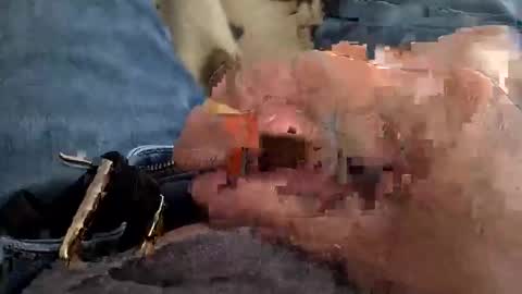 reggie007007 online show from January 9, 3:28 pm