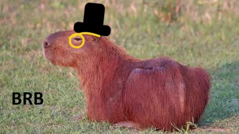 Chris online show from February 16, 7:23 pm