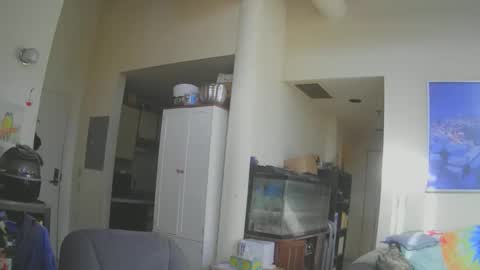 rickl56 online show from November 8, 5:49 pm