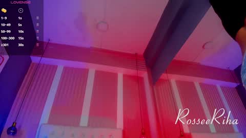 Snapshot of rihanna_rose chatting on February 2, 8:02 am Riha  online show from February 2, 8:02 am