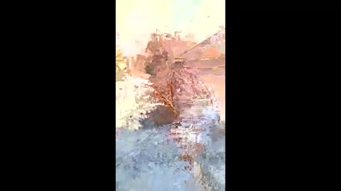 rob18997 online show from February 7, 9:56 am