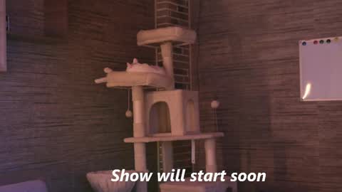 rob_ranger online show from March 28, 10:00 pm