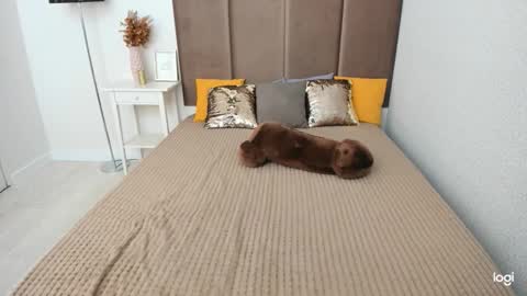 Betty online show from October 7, 6:20 am