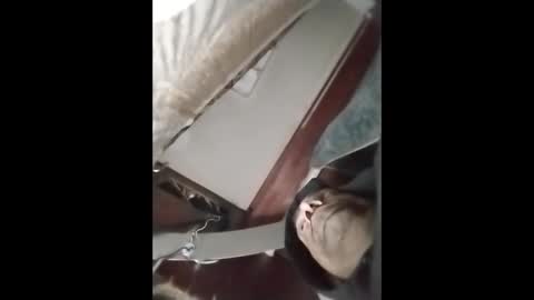 R online show from April 23, 12:40 pm