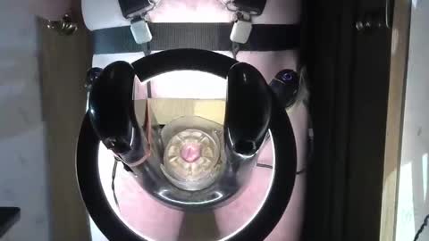 Robodickmilker online show from January 3, 11:55 pm