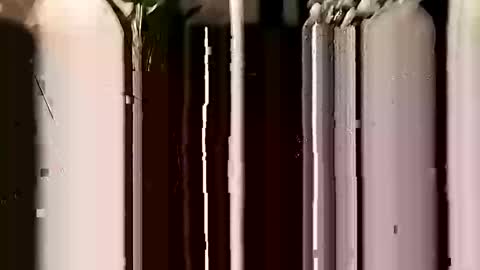 rocket991465530 online show from December 30, 6:20 am